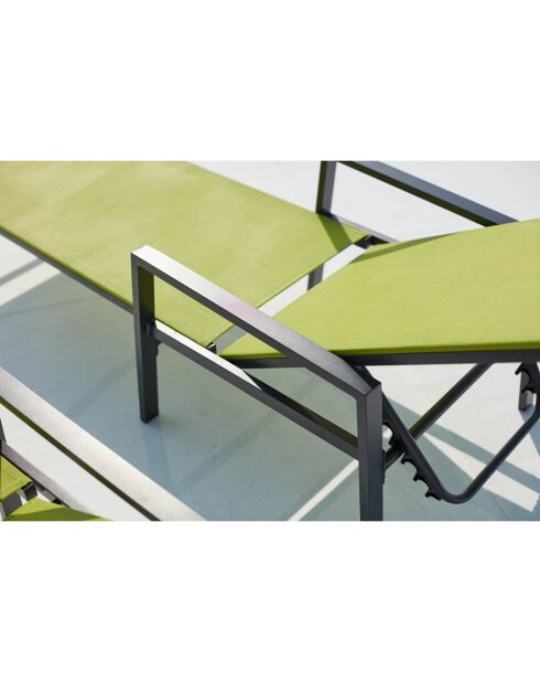Lot de 2 transats en aluminium Parivo gris foncé et vert - 192x61x92 cm