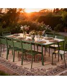 Table de jardin 10/12 places Falcou verte - 234x96x72 cm