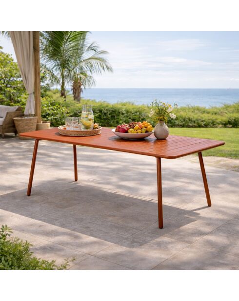 Falcou terracotta tuintafel voor 8/10 personen - 200x80x72 cm