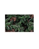 Zerbino in PVC Cono multicolore - 40x60 cm