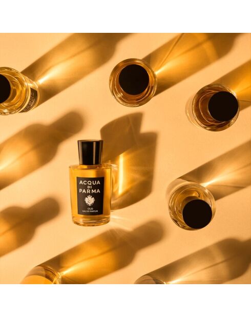 Oud & Spice Spray, eau de parfum, 180 ml