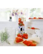 Blender à smoothie USB VQ China Rose - 22,4x8,4x8,4 cm