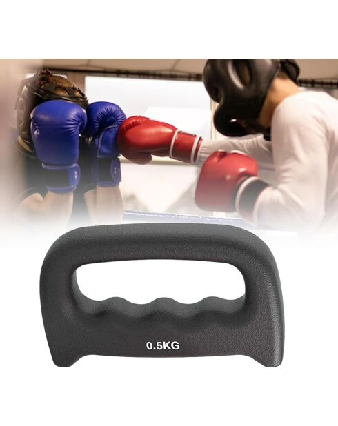 Paire de petits haltères porteurs de poids noire - 0,5kg l'unité