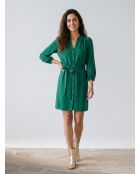 Echtes grünes Kleid