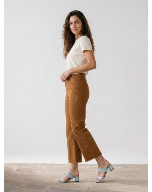 Jean Juan Camel
