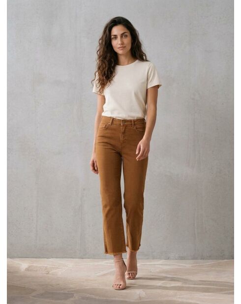 Jean Juan Camel