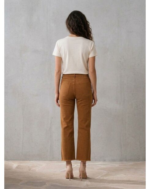 Jean Juan Camel