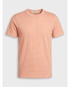 T-Shirt 100% Coton Bio Icon pêche