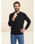 Pull col rond uni noir