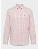Mittelorangenes, dreifarbiges, schmal geschnittenes Gingham-Hemd