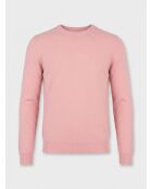 Roze trui met ronde hals van 100% kasjmier Nachron