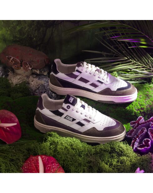 Baskets en cuir Purple Storm multicolores