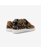 Baskets en cuir Leo Fever multicolores