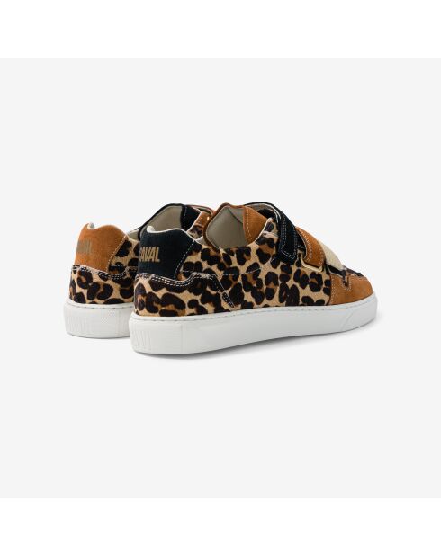 Baskets en cuir Leo Fever multicolores