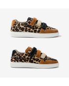 Baskets en cuir Leo Fever multicolores