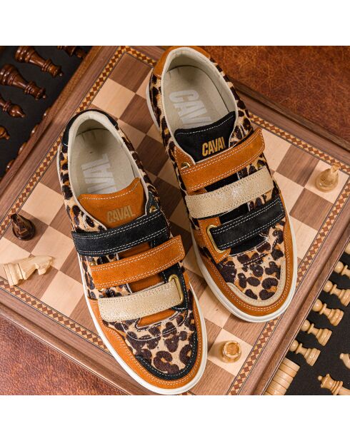 Baskets en cuir Leo Fever multicolores