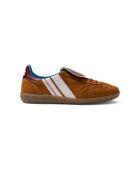 Baskets en cuir Brownie Field multicolores