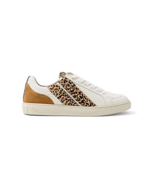 Baskets en cuir Leo Shade marron