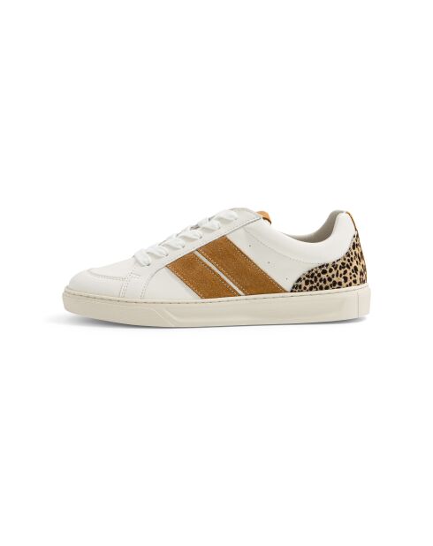Baskets en cuir Leo Shade marron