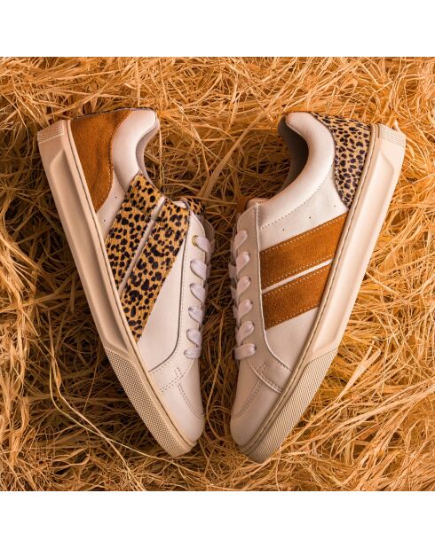 Baskets en cuir Leo Shade marron