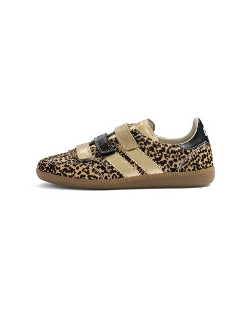 Baskets en cuir Leo Queen multicolores