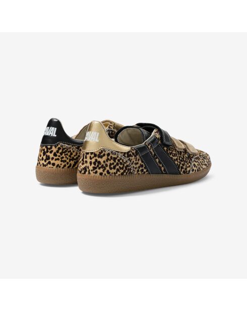 Baskets en cuir Leo Queen multicolores