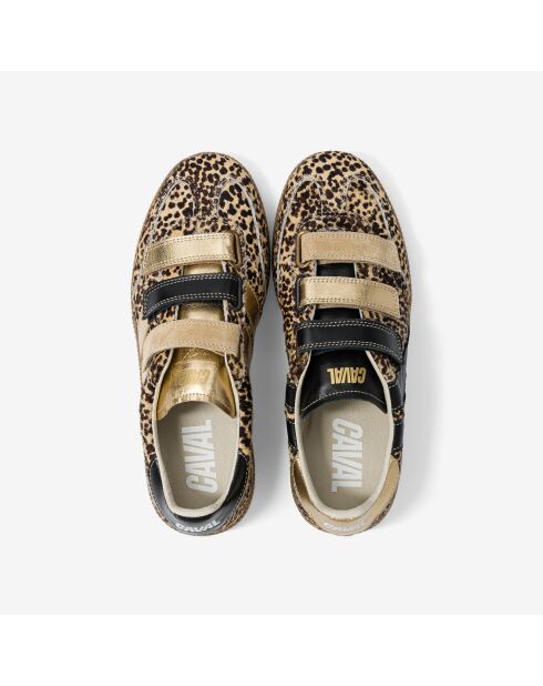 Baskets en cuir Leo Queen multicolores
