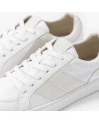 Baskets en cuir Light Glory beige/blanc