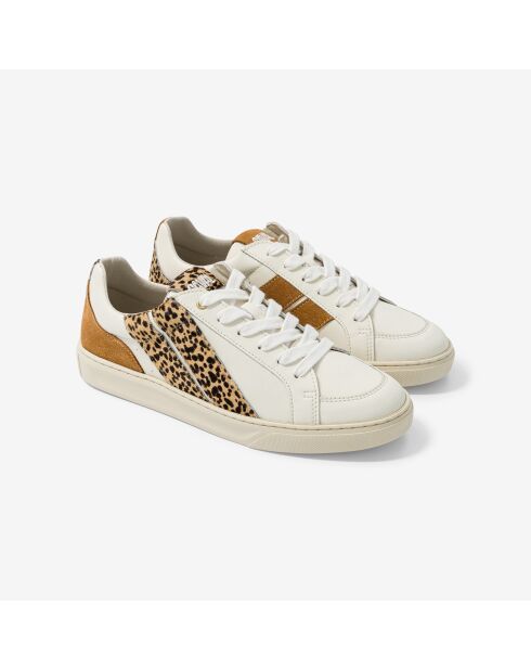 Baskets en cuir Leo Shade marron