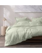 Housse de couette Percale vert d'eau - 240x220 cm
