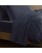 Drap Plat Prestige bleu velours