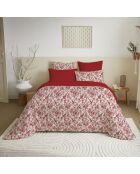 Pack Complet Housse de couette imprimé + Drap housse King Size berangerer ouge - 240x260 cm/180x200 cm