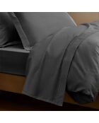 Funda de almohada Prestige en grafito