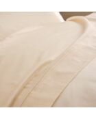 Lenzuolo piano Prestige crema - 240x300 cm