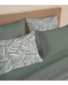 Pack Complet Housse de couette imprimé + Drap housse fira romarin - 220x240 cm/140x190 cm