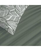 Pack Complet Housse de couette imprimé + Drap housse fira romarin - 220x240 cm/140x190 cm