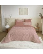 Pack Complet Housse de couette imprimé + Drap housse King Size celestep eche - 240x260 cm/180x200 cm