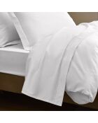 Drap Plat Prestige blanc