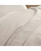 Drap Plat Prestige sable - 240x300 cm