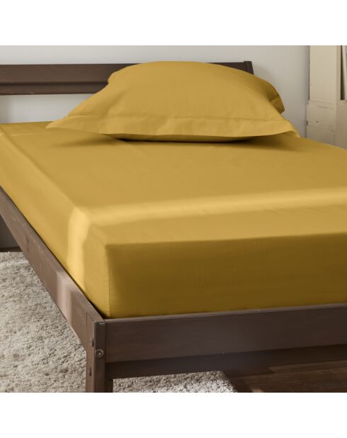 Lenzuolo con angoli in percalle di cotone mango Julian - 90x190 cm