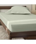 Lenzuolo con angoli in percalle di cotone verde acqua Julian - 90x190 cm