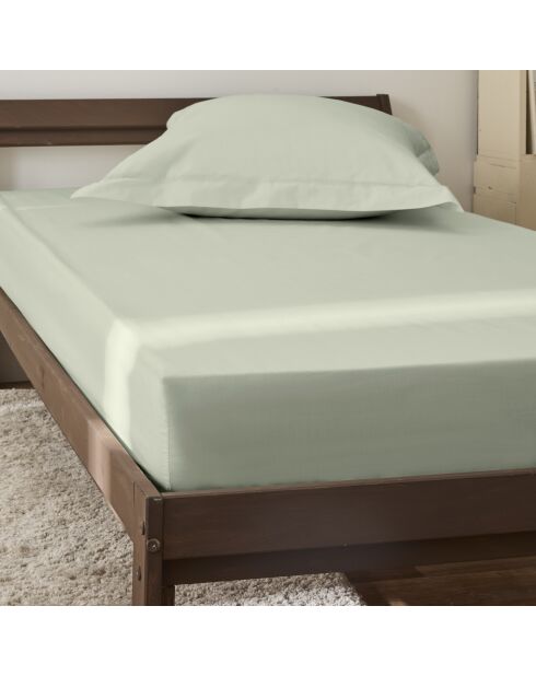 Lenzuolo con angoli in percalle di cotone verde acqua Julian - 90x190 cm