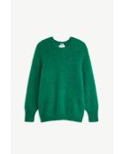 Groene trui Pedro
