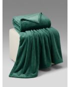 Flanella scozzese a tinta unita verde - 130x180cm