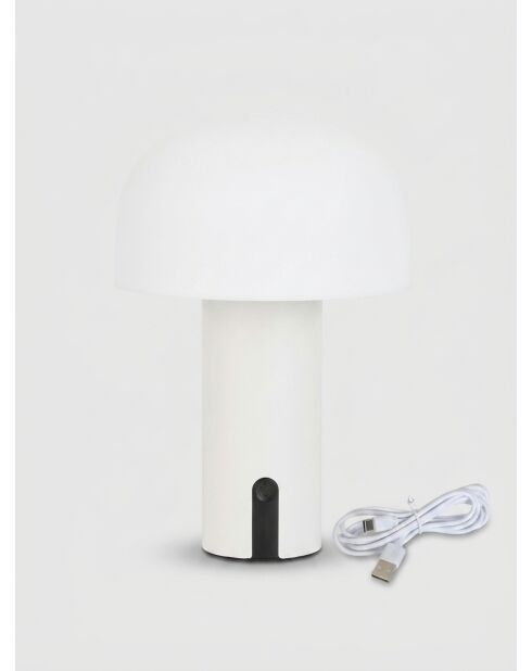 Lampe extérieur Jany argile - H. 22cm