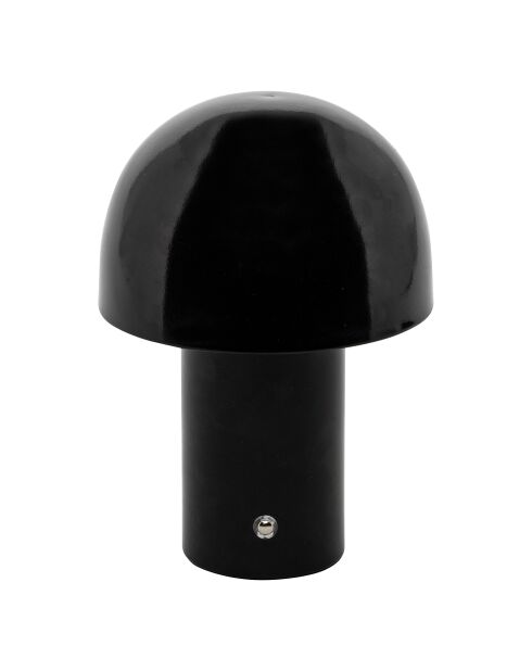 Lampe fantaisie zola noir - H. 36cm