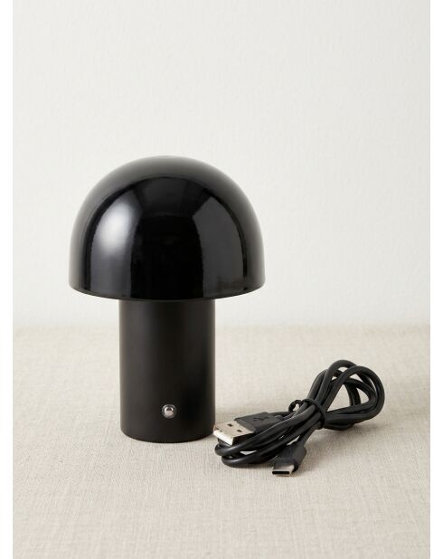 Lampe fantaisie zola noir - H. 36cm