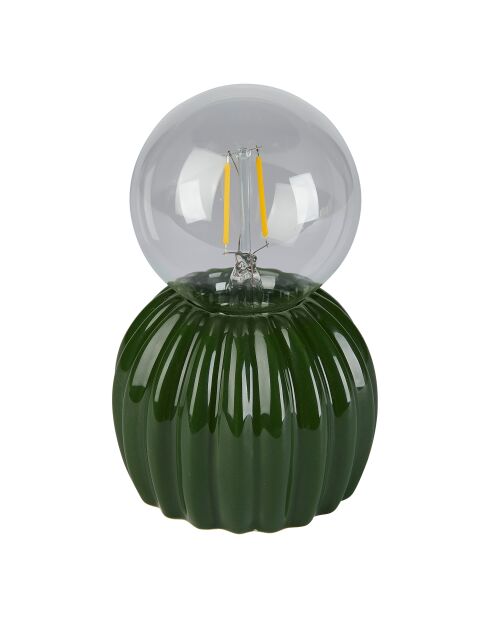 Lampe led cactus vert - H. 15cm