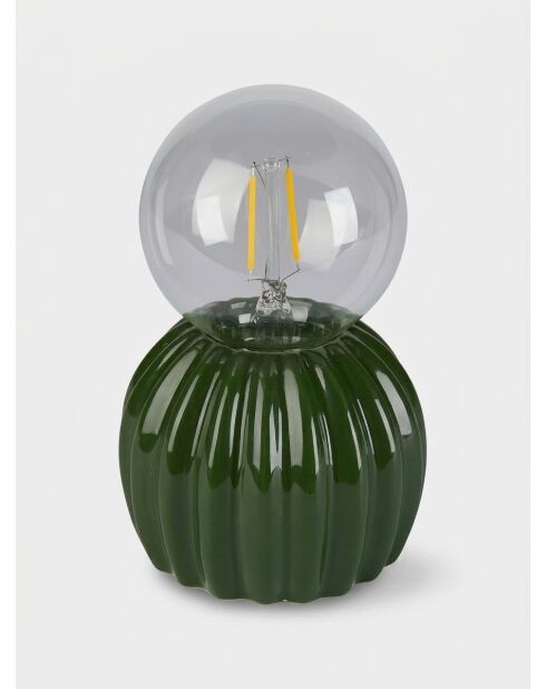 Lampe led cactus vert - H. 15cm