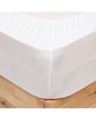 Drap housse B30 2 pièces blanche